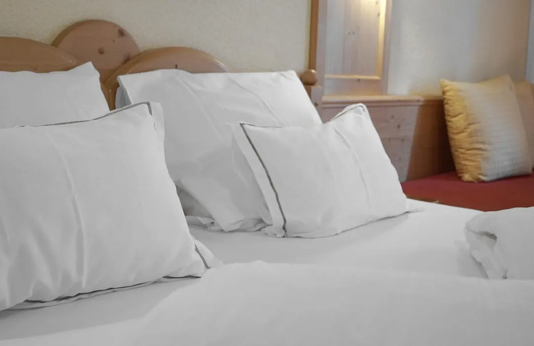 Hotel Alpina-1